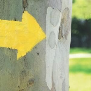 2 Fobi-Punkte: Persönlichkeitsstörungen - Einführung