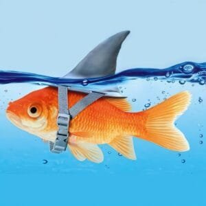 3 Fobi-Punkte: Selbsttäuschung